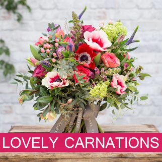 lovely Carnations