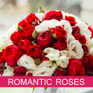 Romantic Roses