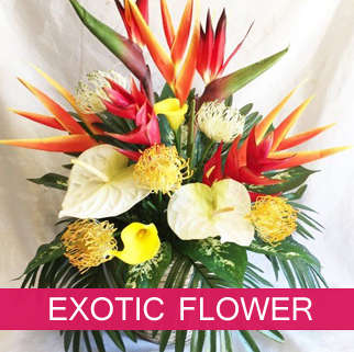 Exotic Flower